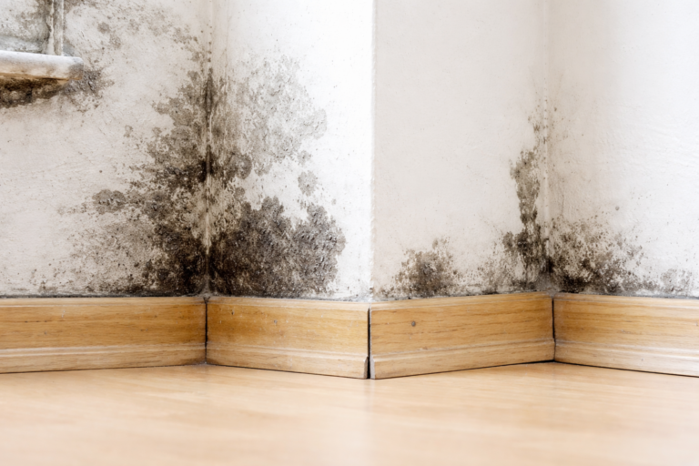 Understanding Water Damage Categories: Clean, Gray & Black Water Explained